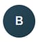 b1